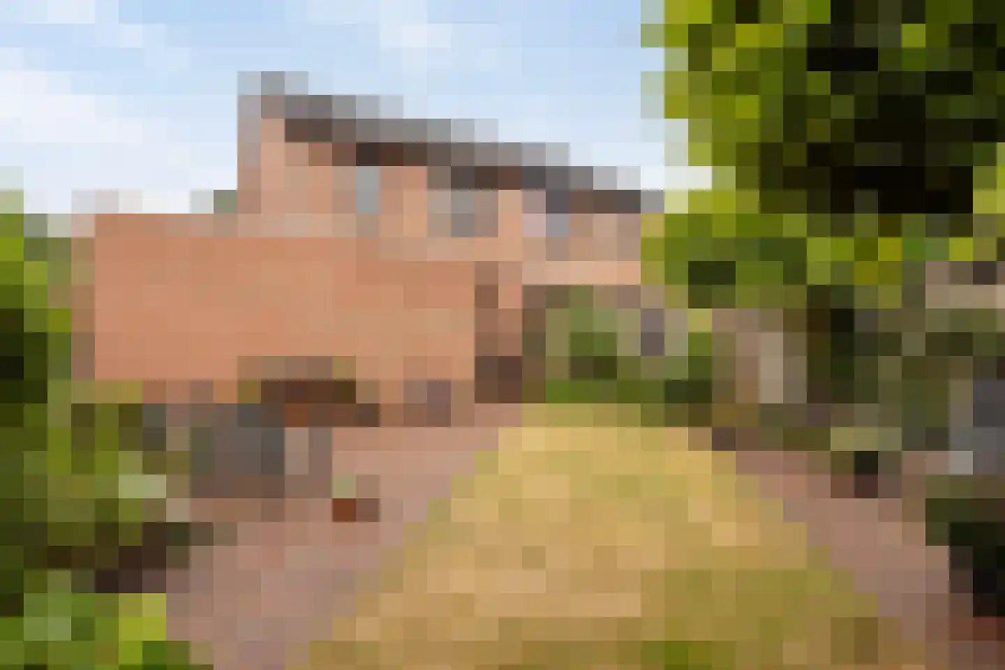 Grimberghoek 49 Enschede thumbnail 28