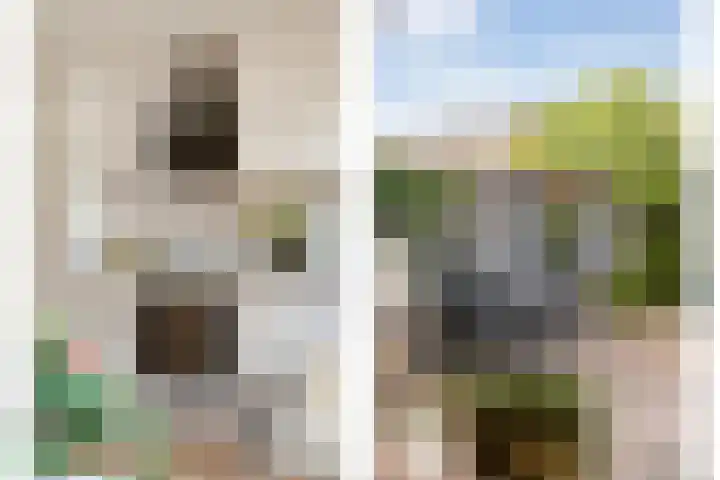 Grimberglaan 13 Almelo thumbnail 11