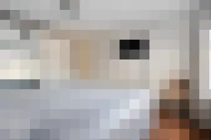 Grimberglaan 13 Almelo thumbnail 13