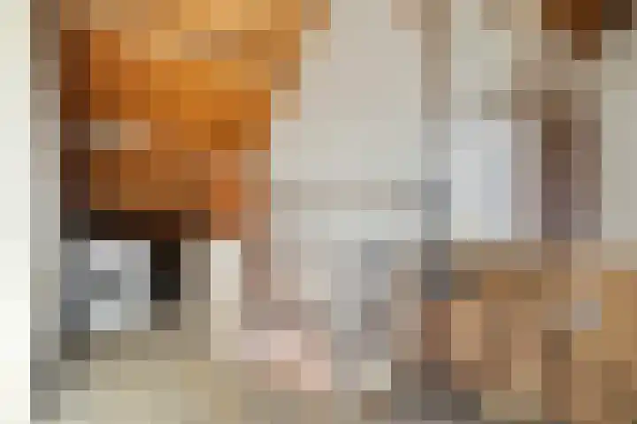Grimberglaan 13 Almelo thumbnail 18