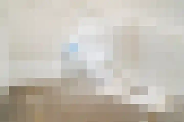Grimberglaan 13 Almelo thumbnail 20