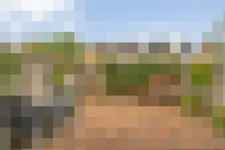 Grimberglaan 13 Almelo thumbnail 23