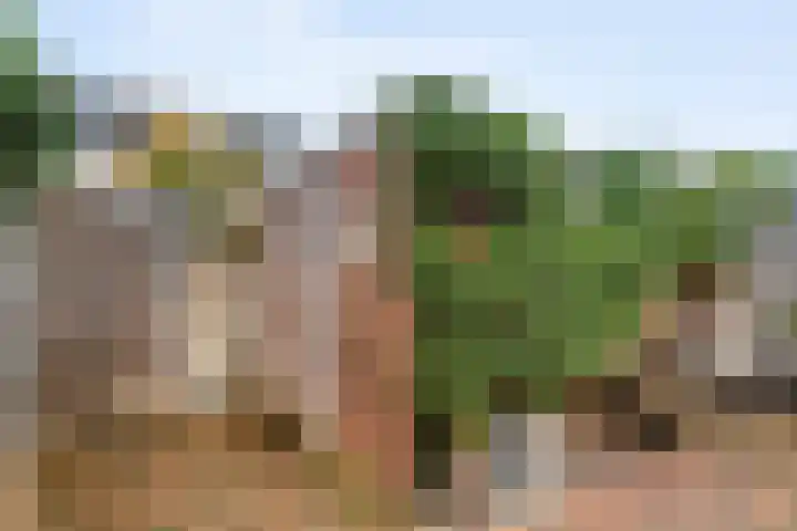Grimberglaan 13 Almelo thumbnail 24