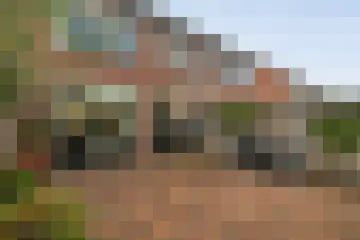 Grimberglaan 13 Almelo thumbnail 26