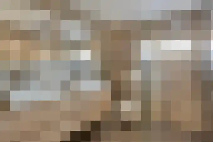 Grimberglaan 14 Almelo thumbnail 18
