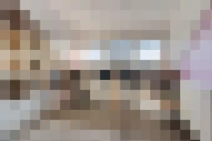 Grimberglaan 14 Almelo thumbnail 29