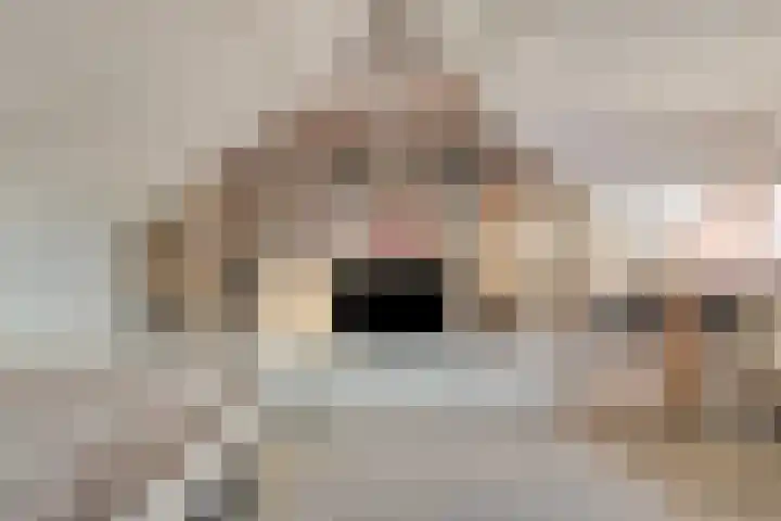 Grimberglaan 14 Almelo thumbnail 30