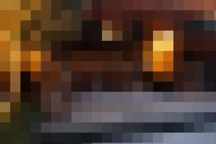 Grimberglaan 14 Almelo thumbnail 38