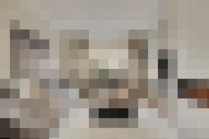 Grimberglaan 14 Almelo thumbnail 4