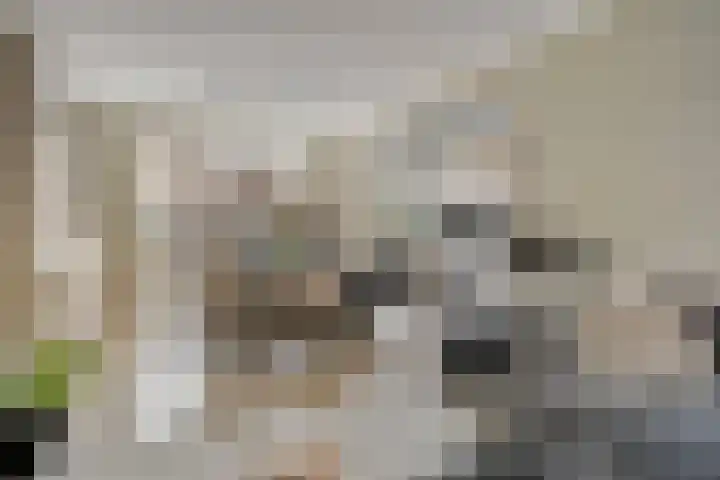 Grimberglaan 14 Almelo thumbnail 5