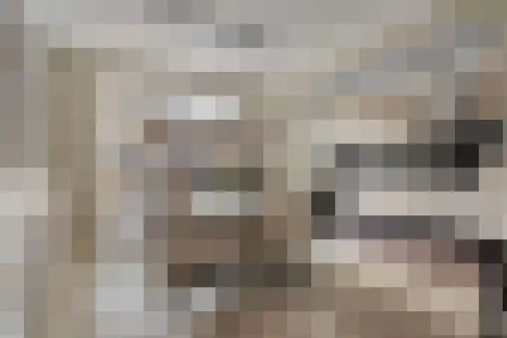 Grimberglaan 14 Almelo thumbnail 8