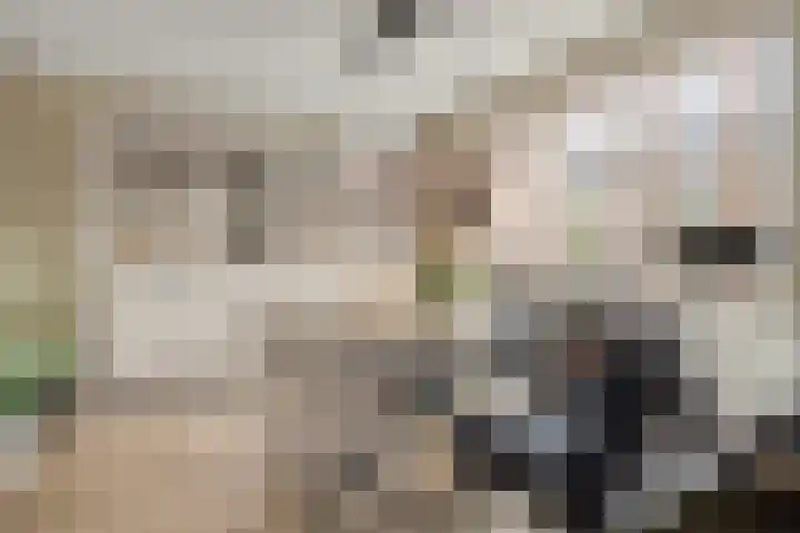 Grimberglaan 14 Almelo thumbnail 9