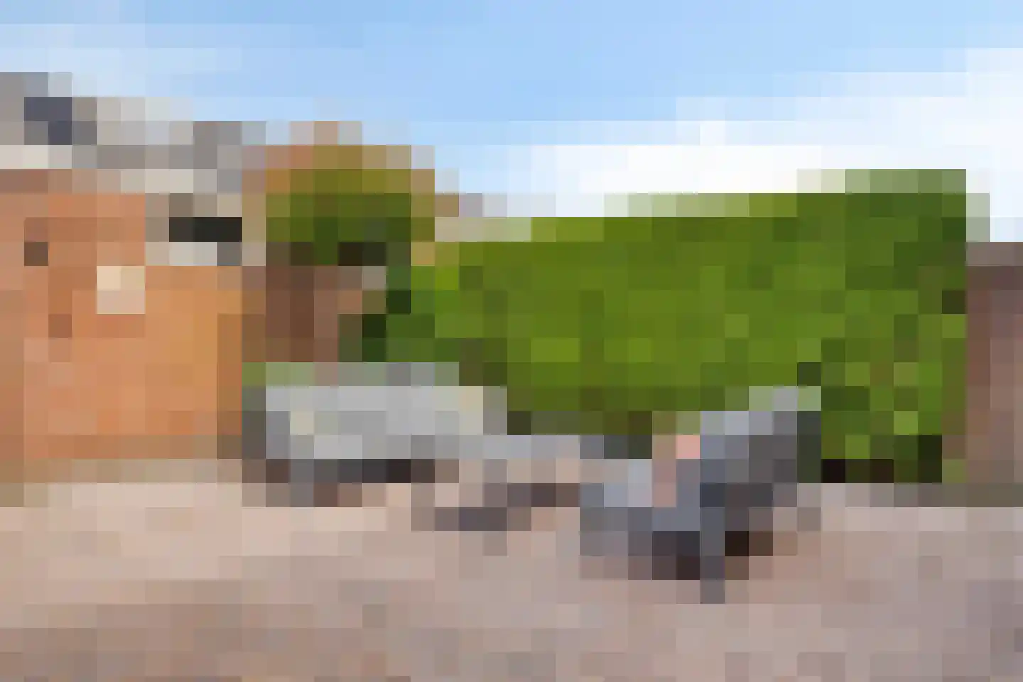 Grimberglaan 21 Almelo thumbnail 30
