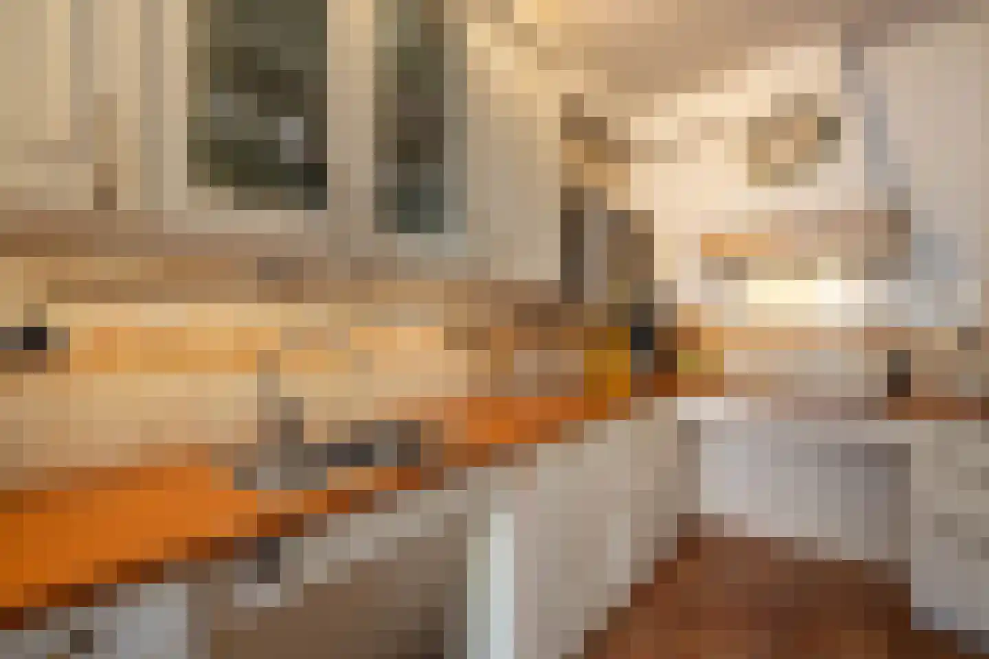 Grimberglaan 3 Almelo thumbnail 11