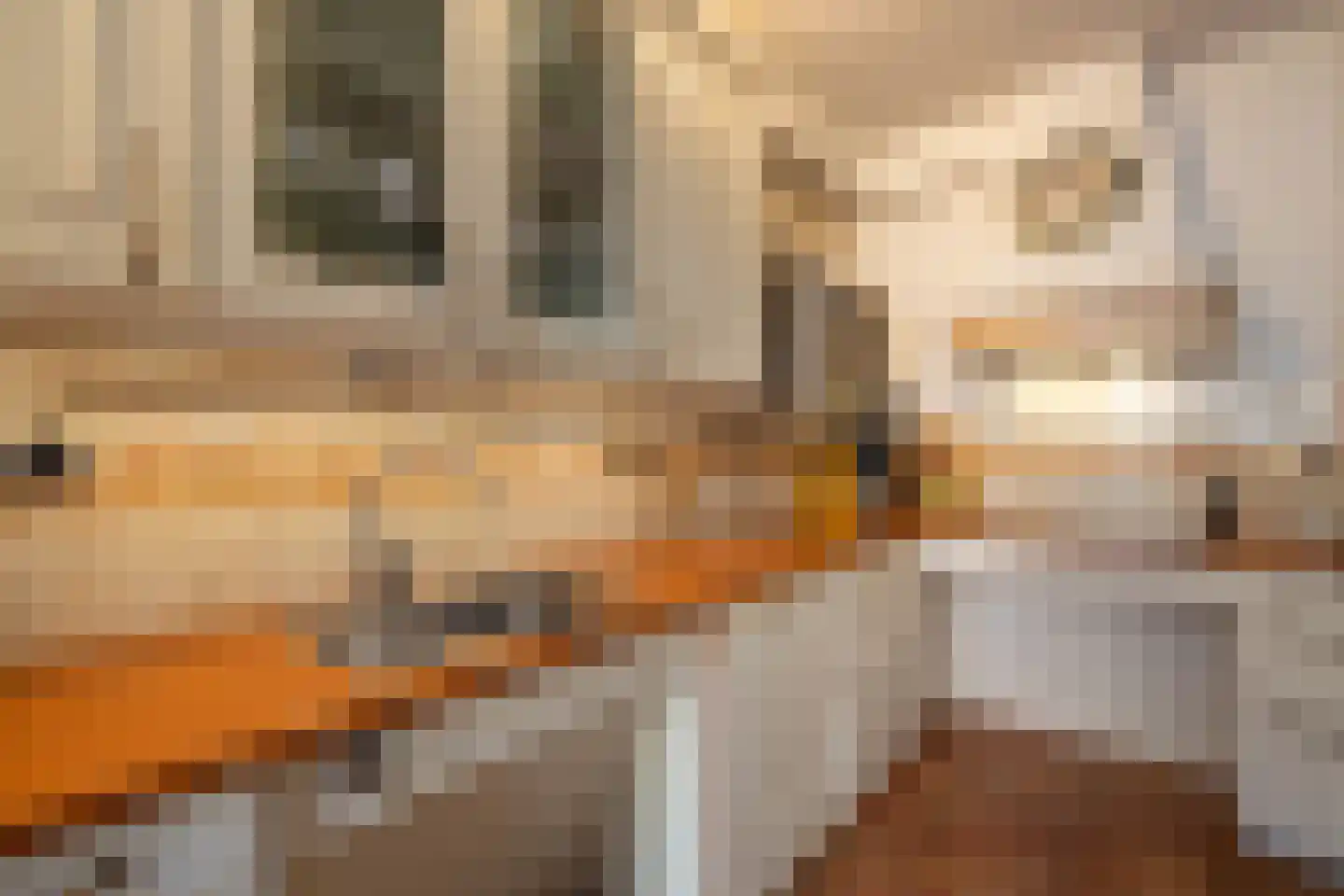 Grimberglaan 3 Almelo thumbnail 15