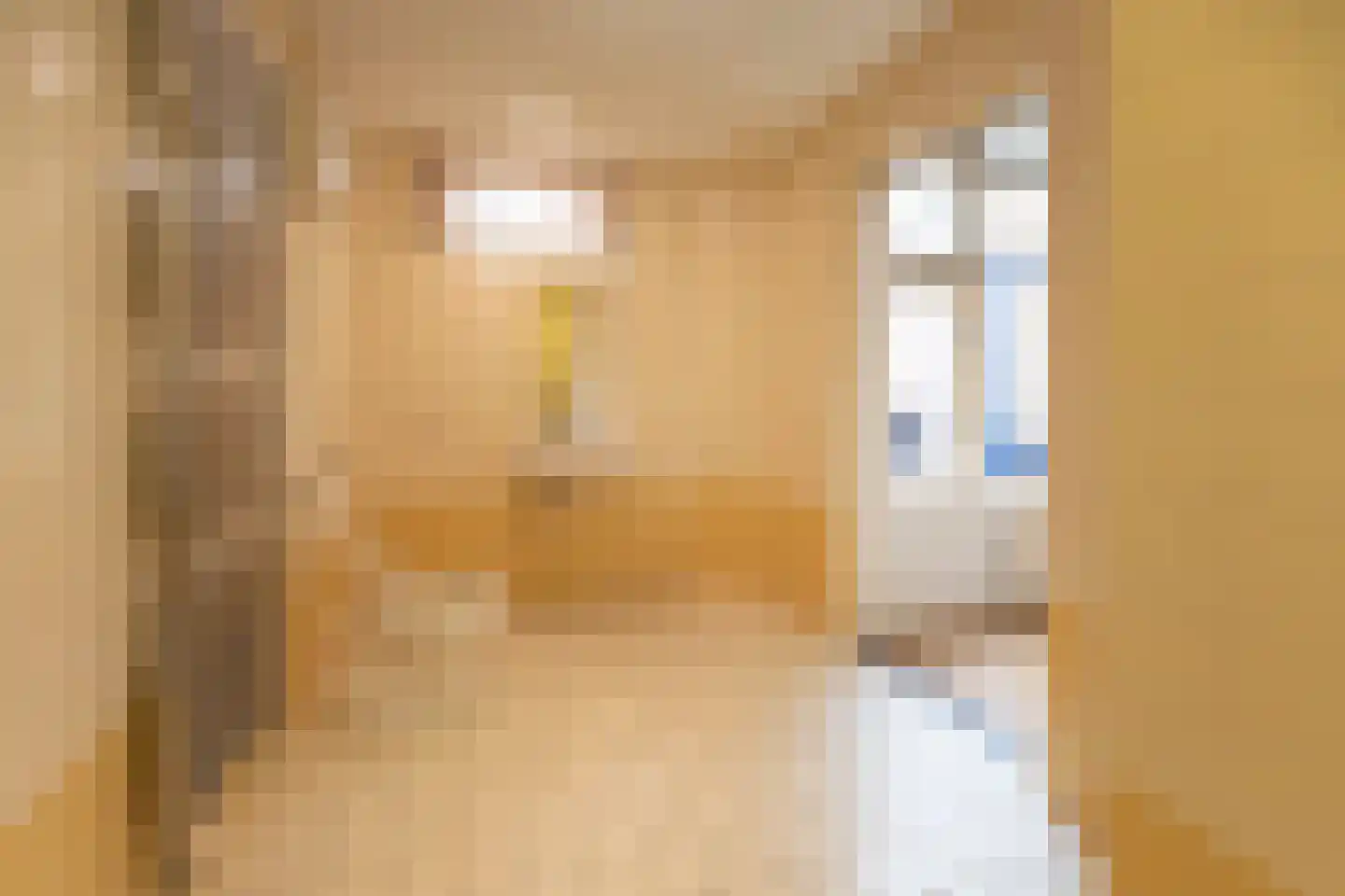 Grimberglaan 3 Almelo thumbnail 20