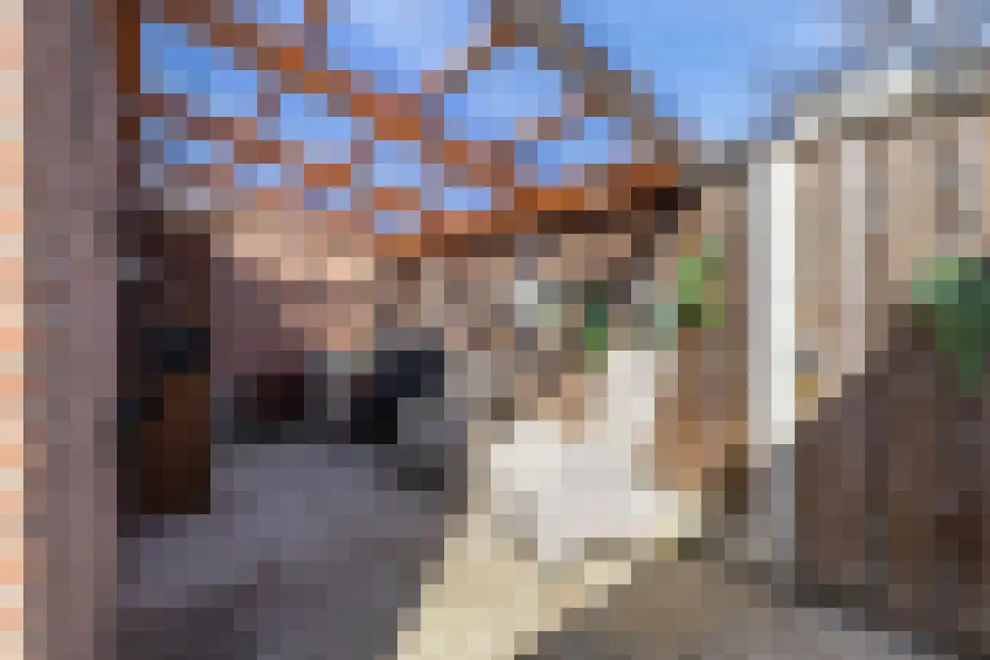 Grimberglaan 3 Almelo thumbnail 26