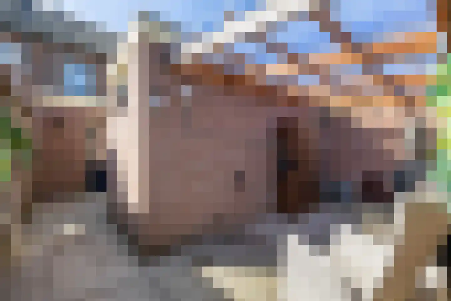 Grimberglaan 3 Almelo thumbnail 27