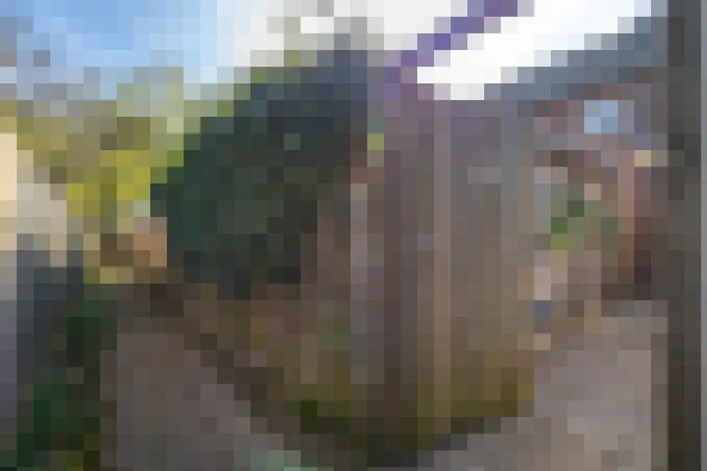 Grimberglaan 3 Almelo thumbnail 29