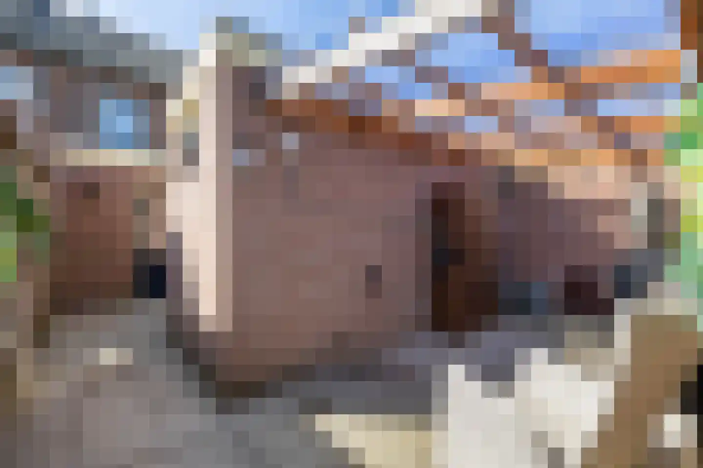 Grimberglaan 3 Almelo thumbnail 31