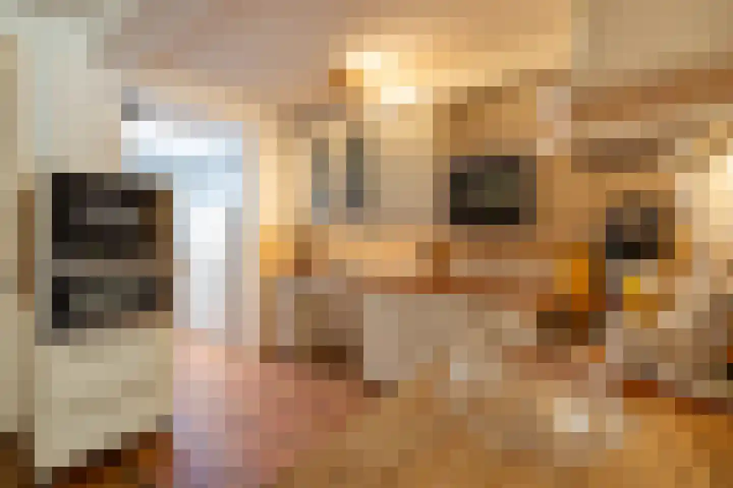 Grimberglaan 3 Almelo thumbnail 9