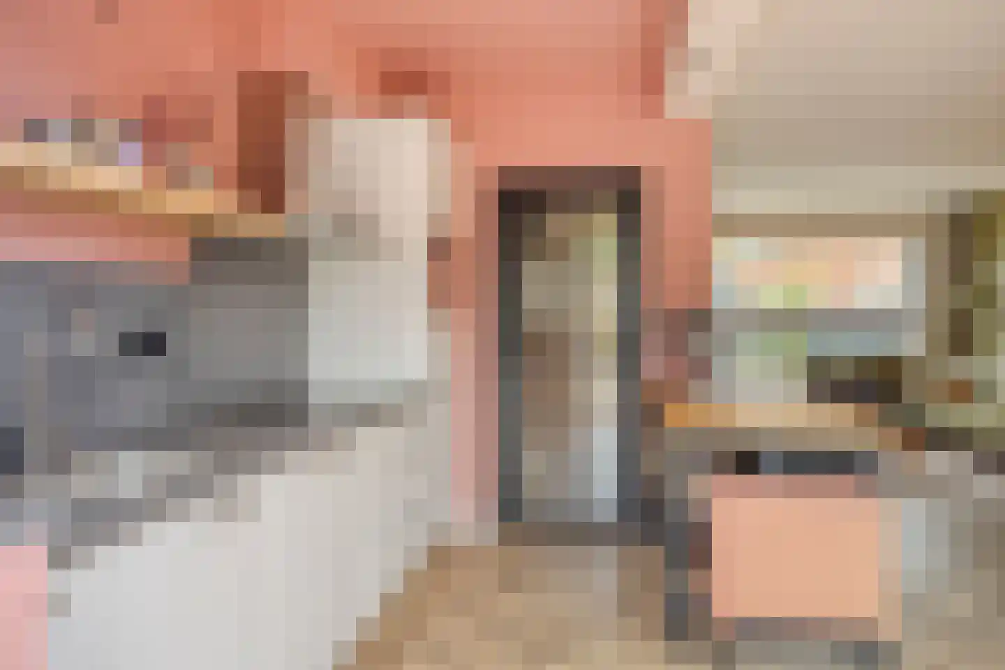 Grimberglaan 6 Almelo thumbnail 14