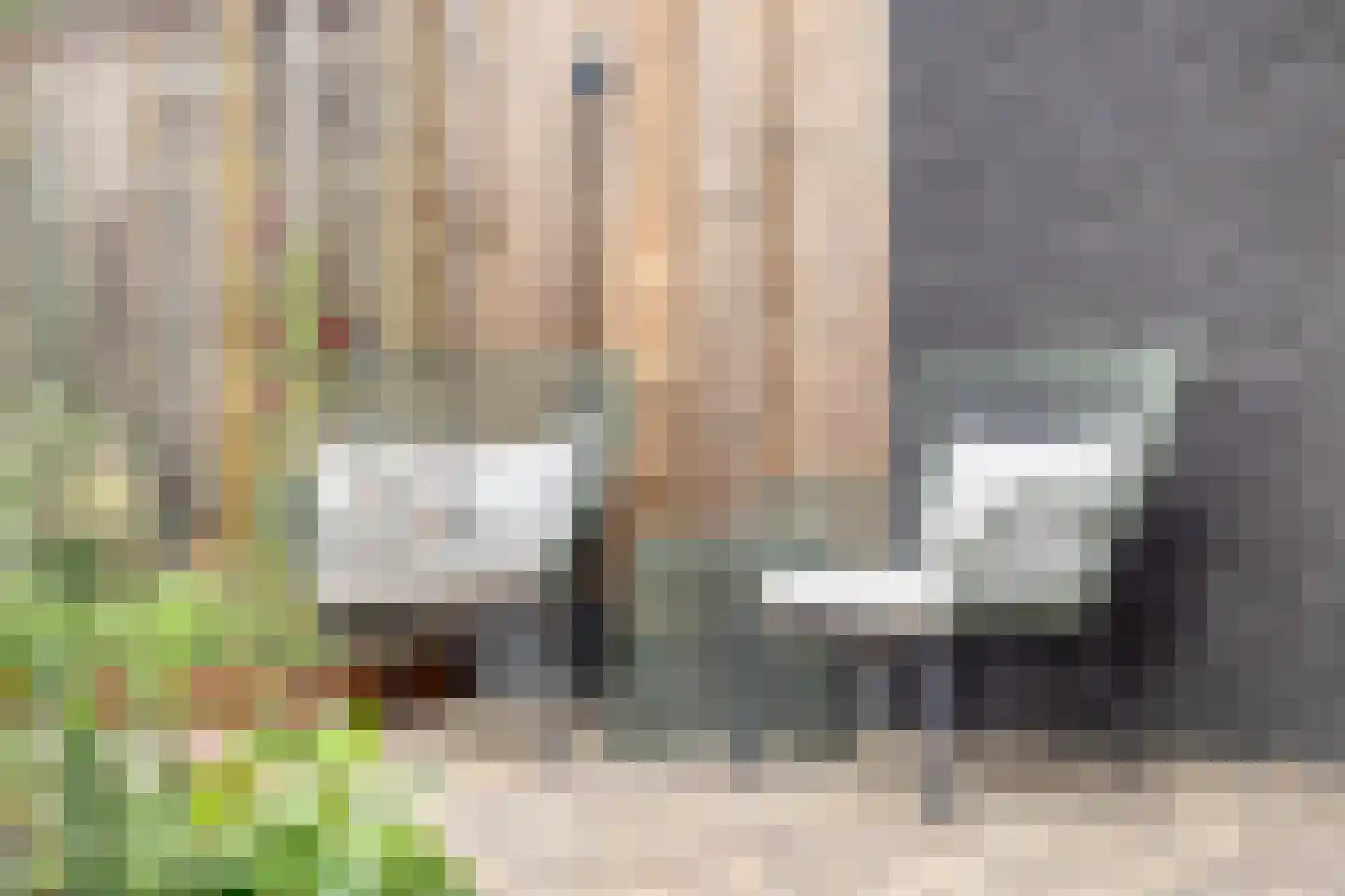 Grimberglaan 6 Almelo thumbnail 31