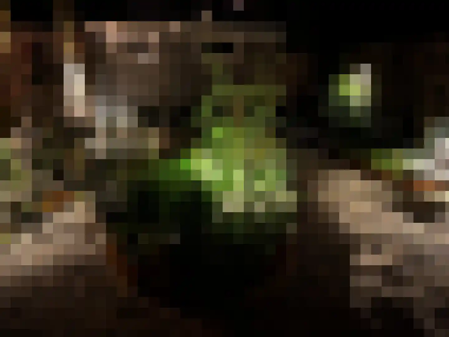 Grimberglaan 6 Almelo thumbnail 37