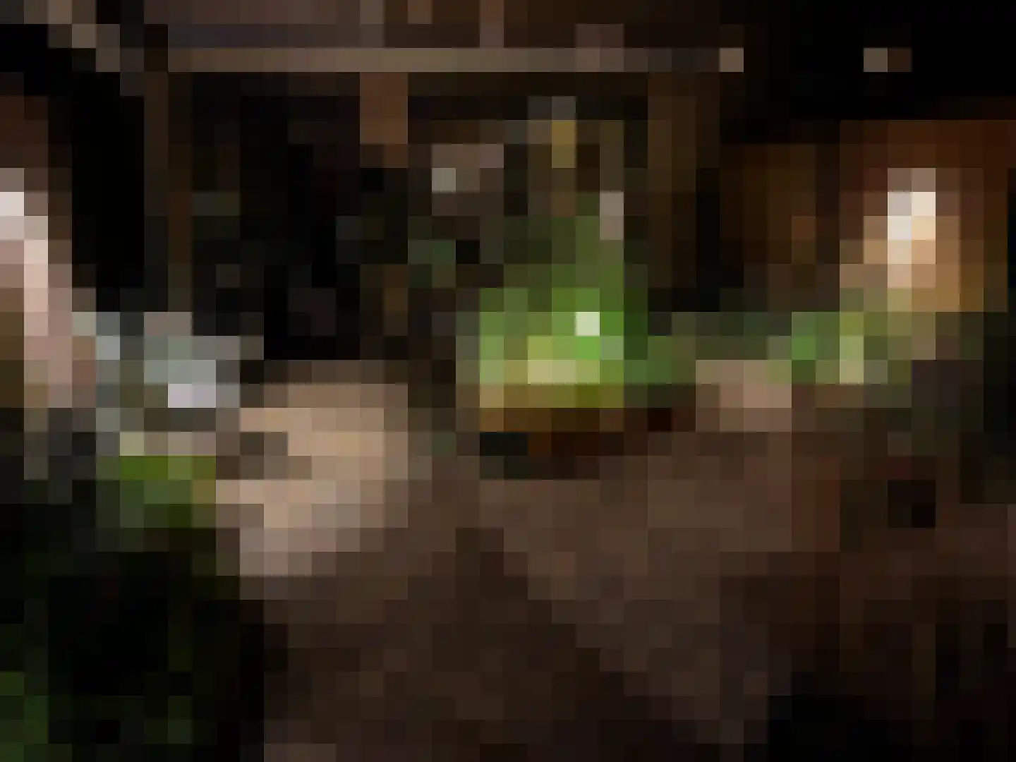 Grimberglaan 6 Almelo thumbnail 39