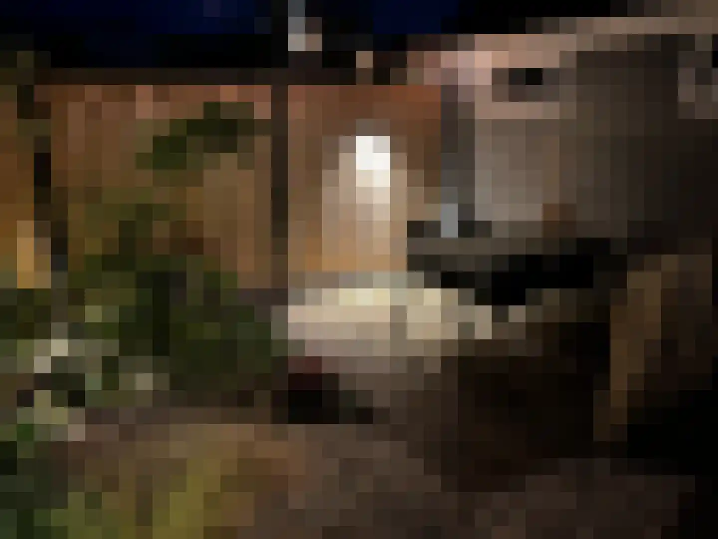 Grimberglaan 6 Almelo thumbnail 40