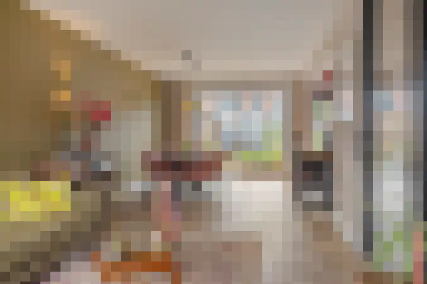 Grimberglaan 6 Almelo thumbnail 6
