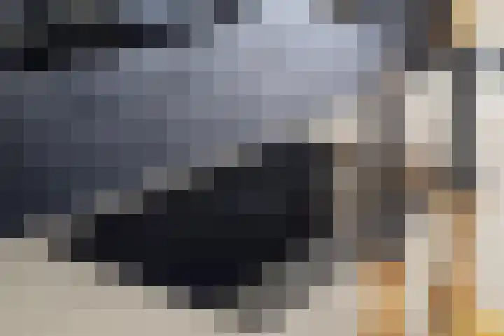 Grimberglaan 8 Almelo thumbnail 15