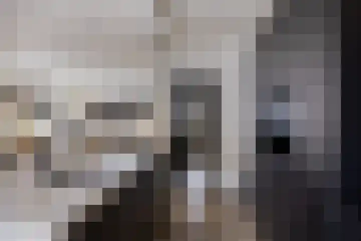 Grimberglaan 8 Almelo thumbnail 16