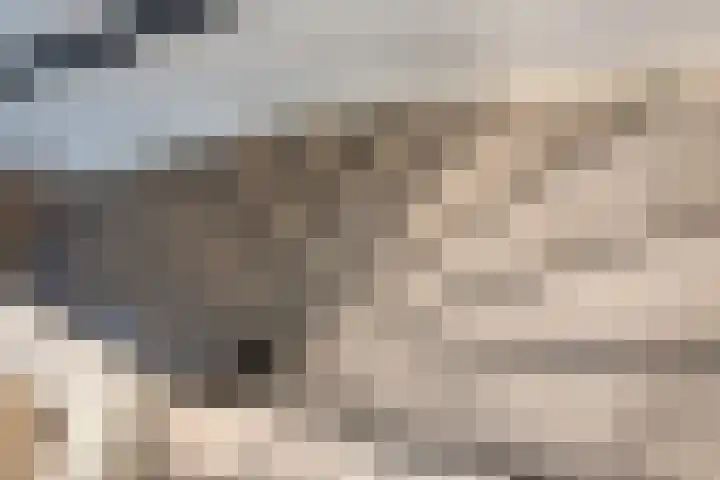 Grimberglaan 8 Almelo thumbnail 19