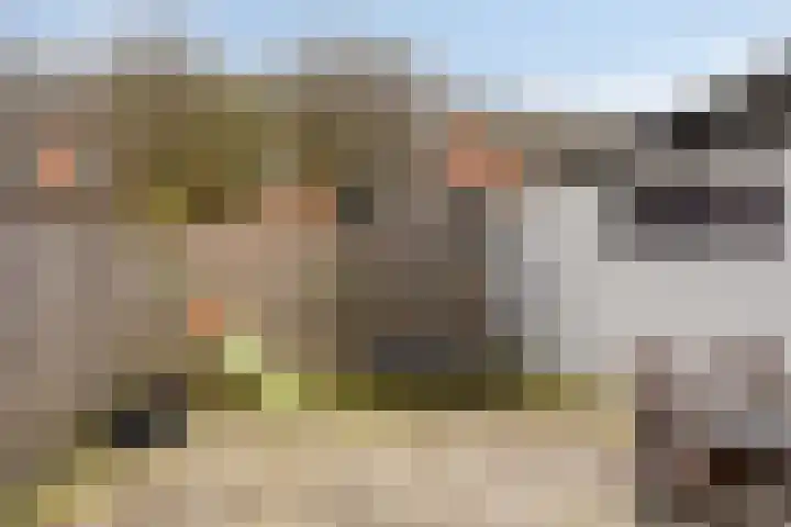 Grimberglaan 8 Almelo thumbnail 33