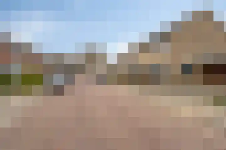 Grimberglaan 8 Almelo thumbnail 36