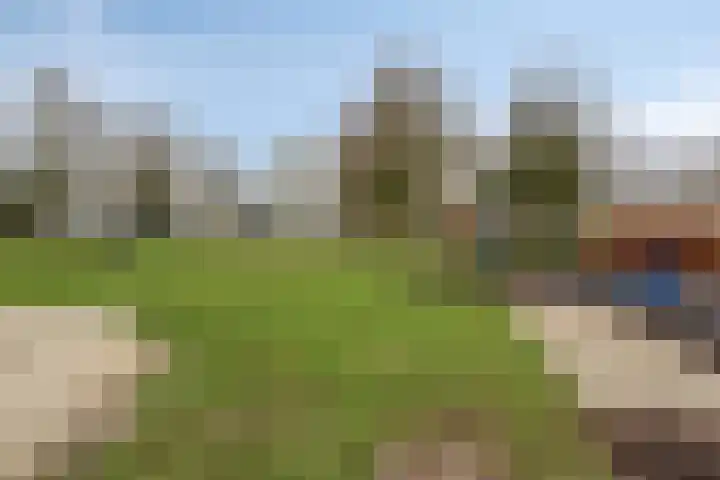 Grimberglaan 8 Almelo thumbnail 38