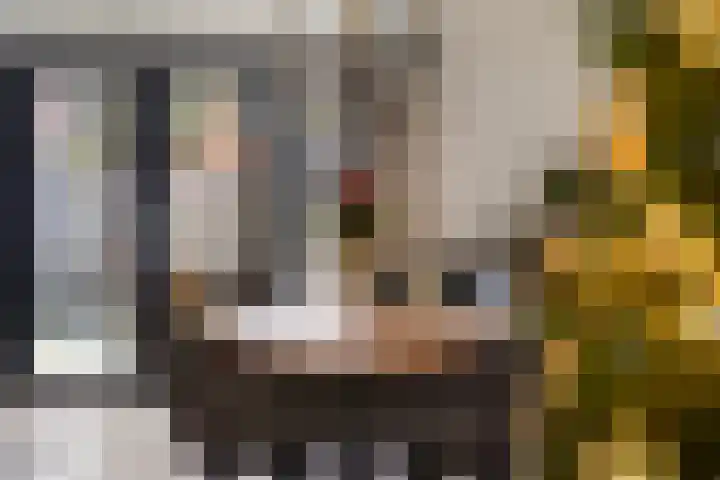 Grimberglaan 8 Almelo thumbnail 7