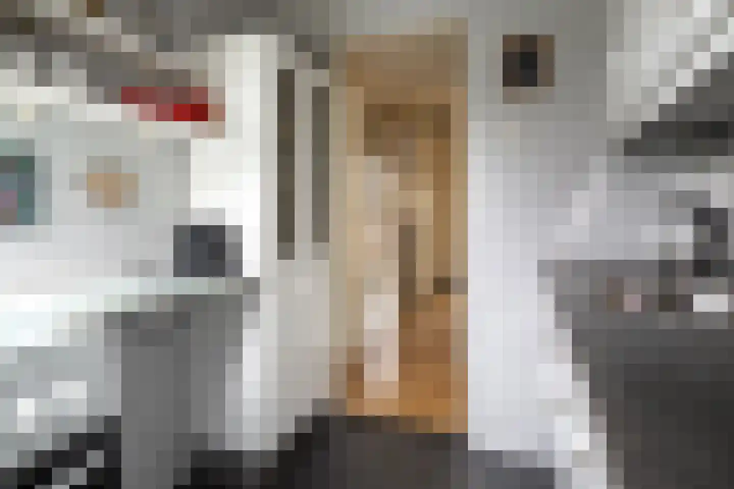 Grimbergstraat 44 Hengelo thumbnail 13