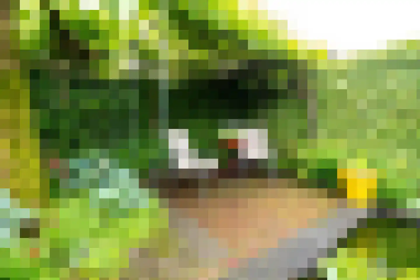 Grimbergstraat 44 Hengelo thumbnail 31