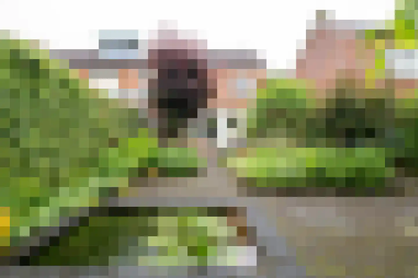 Grimbergstraat 44 Hengelo thumbnail 32