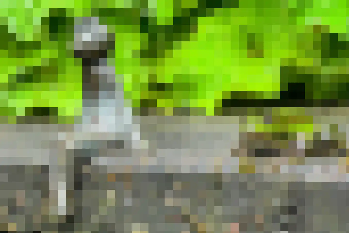 Grimbergstraat 44 Hengelo thumbnail 34