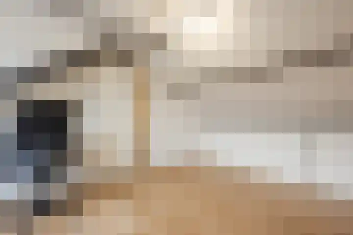 Grimbergstraat 49 Hengelo thumbnail 34