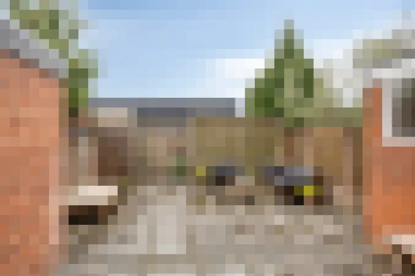 Grimbergstraat 7 Hengelo thumbnail 26