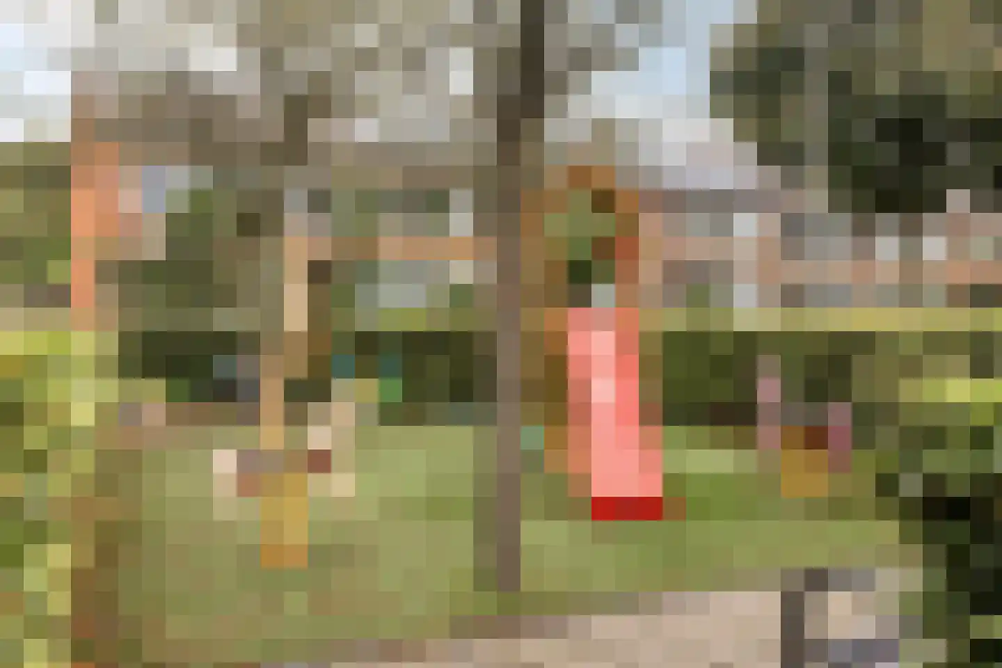 Grimbergstraat 7 Hengelo thumbnail 34