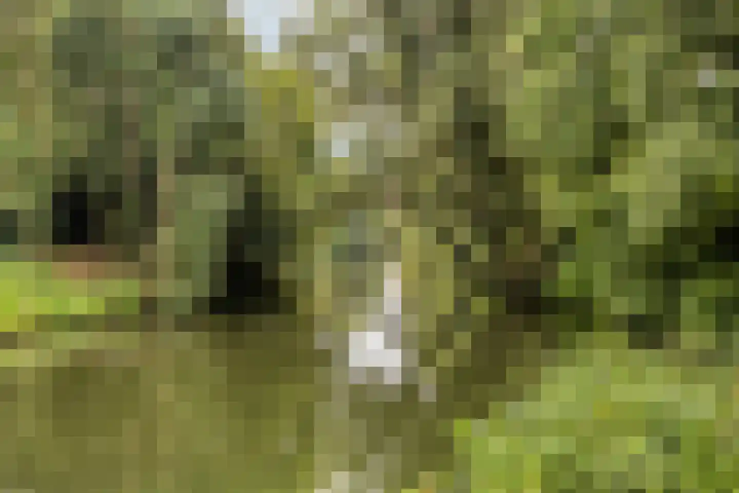 Grimbergstraat 7 Hengelo thumbnail 36