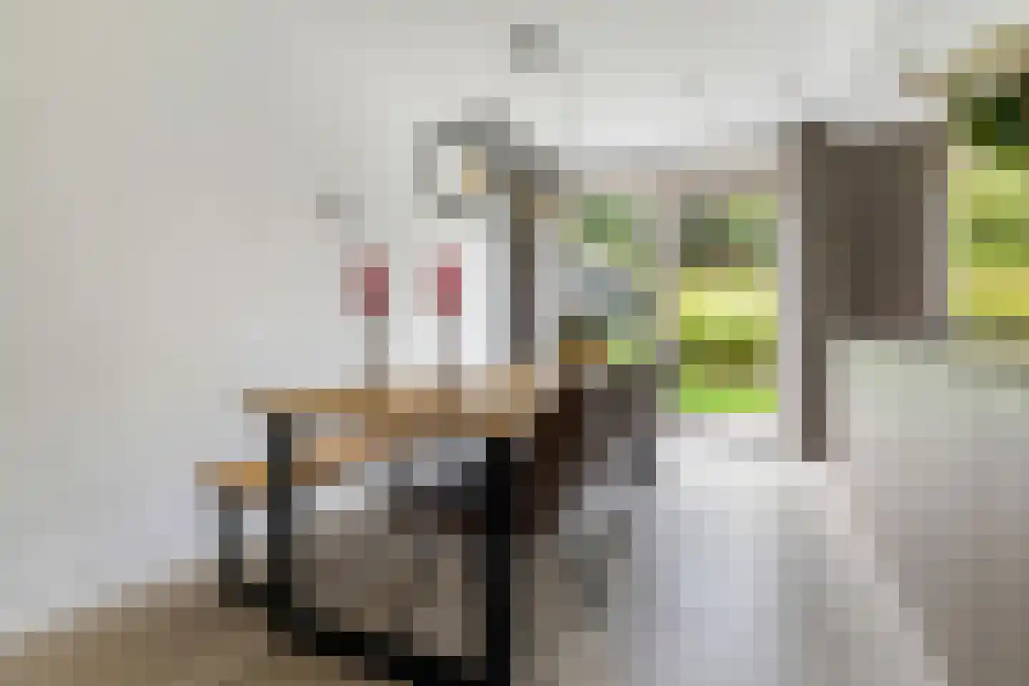 Grimhuijsenhof 20 Ulvenhout thumbnail 14