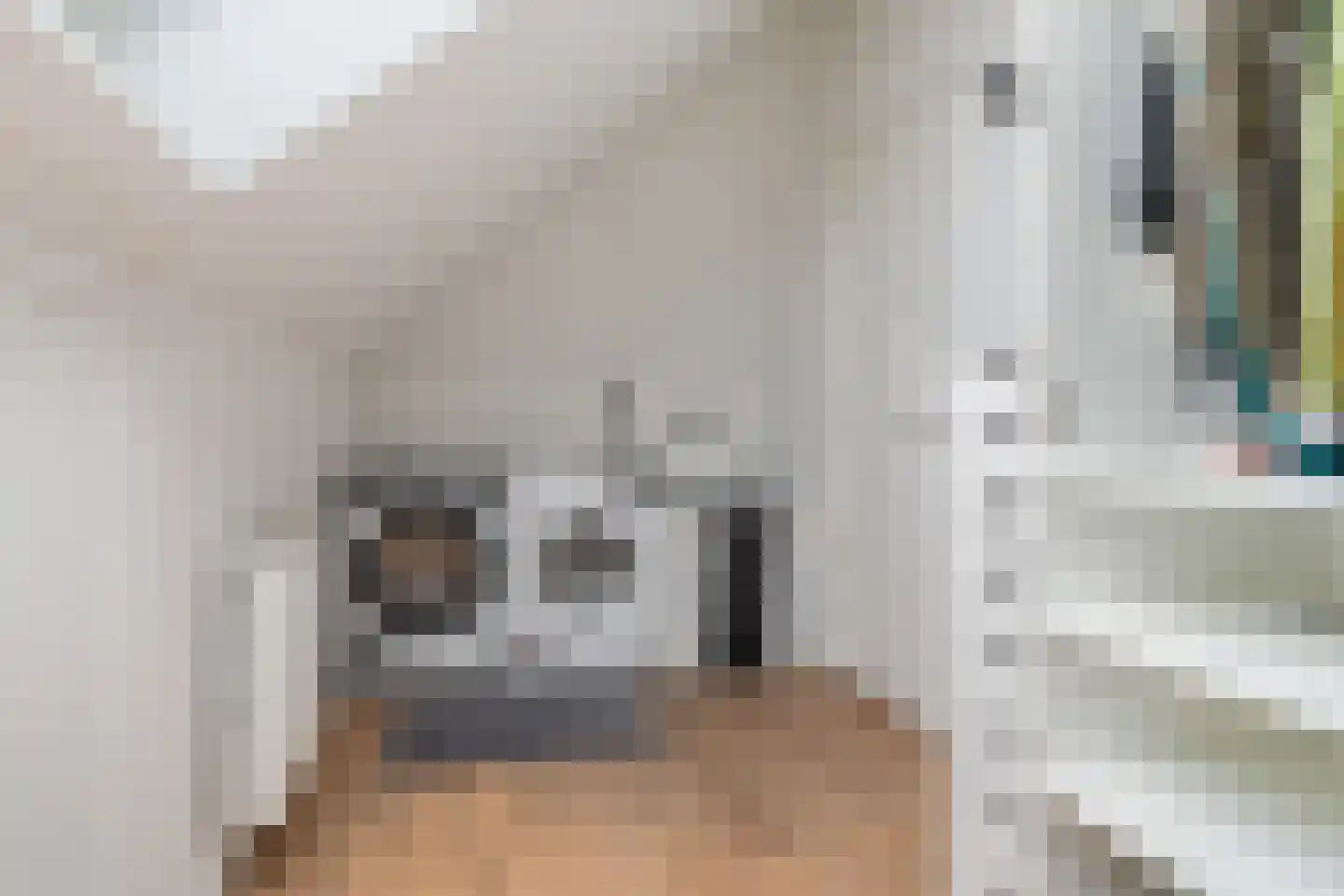 Grimhuijsenhof 20 Ulvenhout thumbnail 37