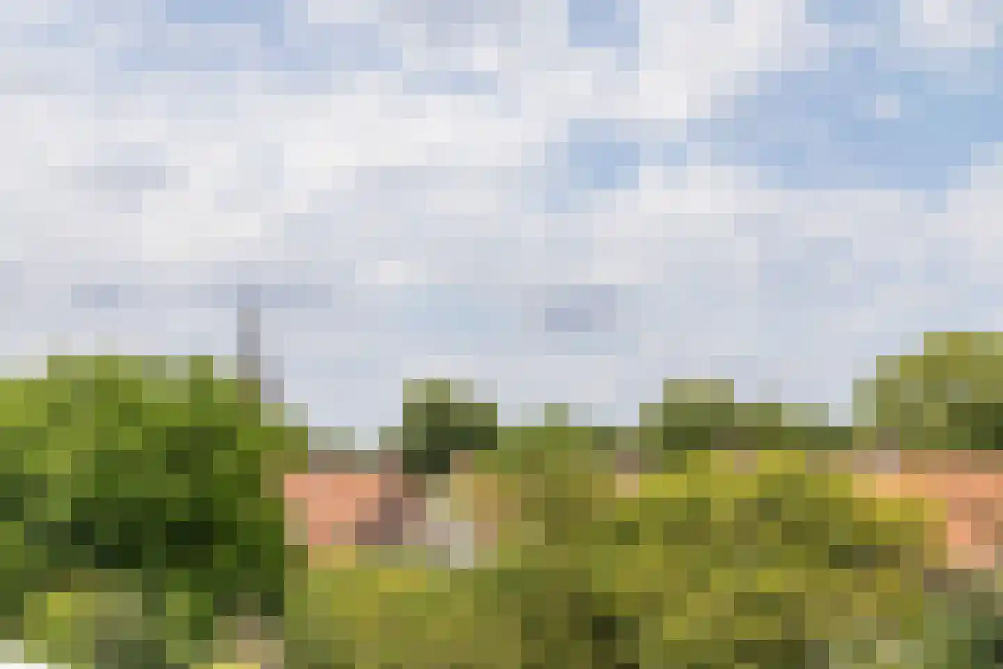 Grimhuijsenhof 20 Ulvenhout thumbnail 46