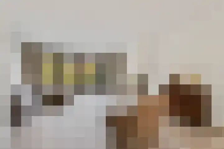 Grimhuijsenhof 21 Ulvenhout thumbnail 10